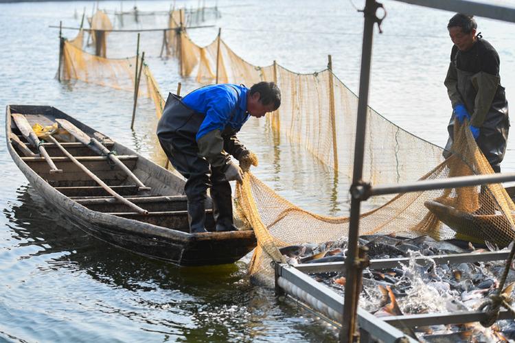 1月15日,在湖南省益阳市资阳区黄家湖渔场,工作人员在进行捕鱼作业.