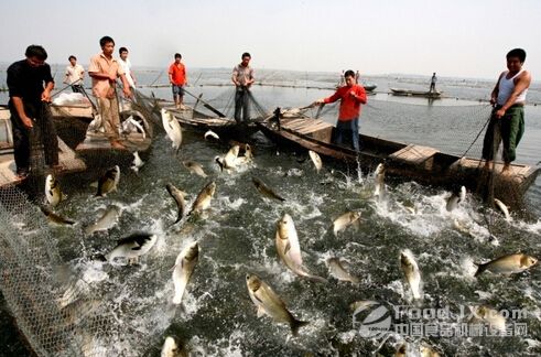 渔业养殖用水检测,佛山